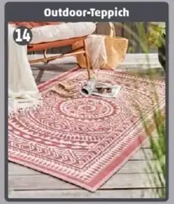 PENNY Outdoor-Teppich Angebot