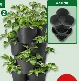 PENNY 4-teiliger Pflanzturm Angebot