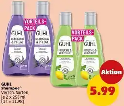 PENNY GUHL Shampoo Angebot