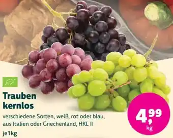Biomarkt Trauben kernlos Angebot