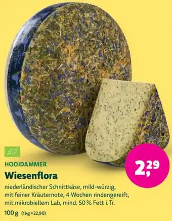 HOOIDAMMER Wiesenflora