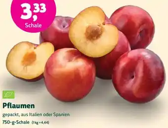 Biomarkt Pflaumen Angebot