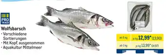 METRO Wolfsbarsch Angebot
