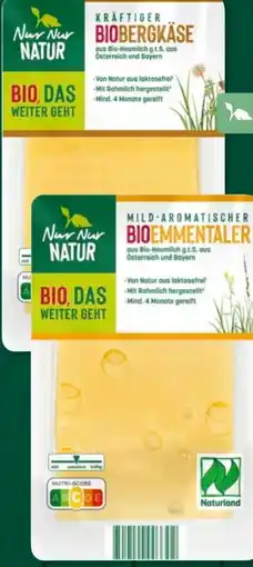 Aldi Süd Nur Natur Bio-Heumilch-Käsescheiben Angebot