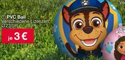 Woolworth PVC Ball Angebot
