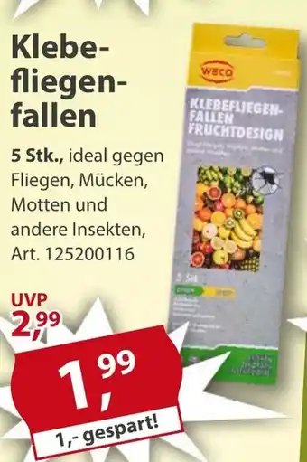 Sonderpreis Baumarkt WECO Klebefliegenfallen Angebot