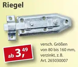 Sonderpreis Baumarkt Riegel Angebot