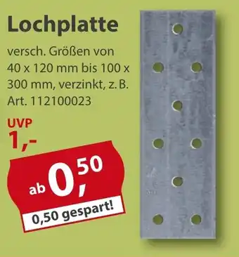 Sonderpreis Baumarkt Lochplatte Angebot