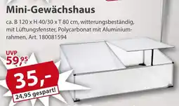 Sonderpreis Baumarkt Mini-Gewächshaus Angebot