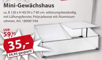 Sonderpreis Baumarkt Mini-Gewächshaus Angebot