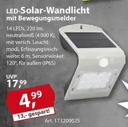 Sonderpreis Baumarkt LED-Solar-Wandlicht mit Bewegungsmelder Angebot