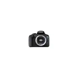 Netto Marken-Discount Canon EOS 2000D + 18-55 DC III Angebot