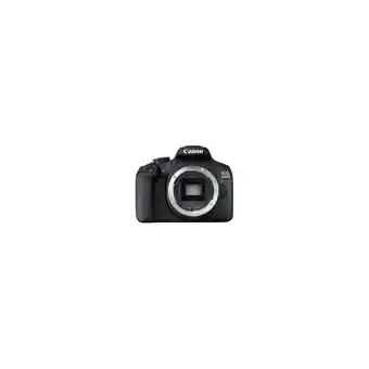 Netto Marken-Discount Canon EOS 2000D + 18-55 DC III Angebot