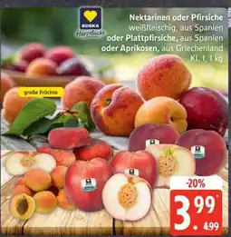 Edeka Nektarinen oder Pfirsiche Angebot