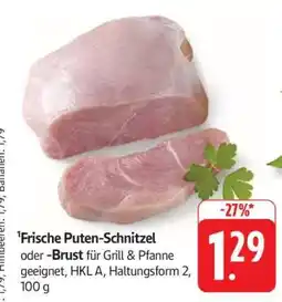 Edeka Frische Puten-Schnitzel oder -Brust Angebot
