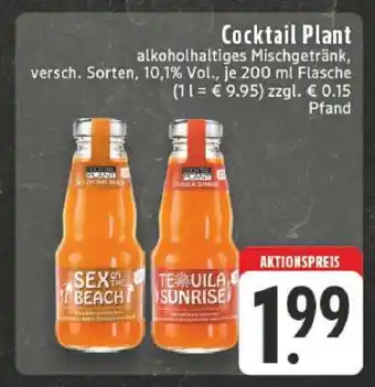 Edeka Cocktail Plant Angebot