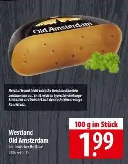 Famila Nord Ost WESTLAND Old Amsterdam Angebot