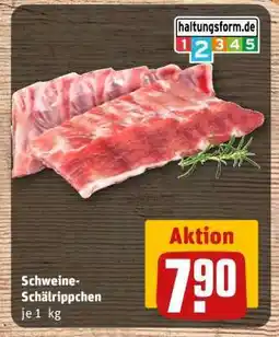 REWE Schweine-Schälrippchen Angebot
