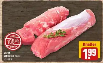 REWE Duroc Schweine-Filet Angebot