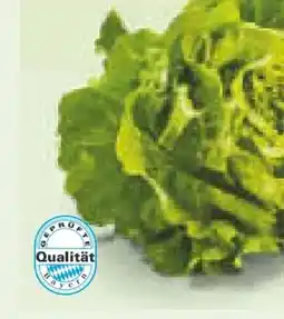 Netto Marken-Discount Heimat Kopfsalat Angebot