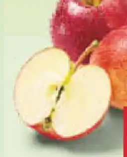 Netto Marken-Discount Rote Äpfel Angebot