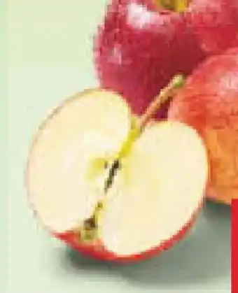 Netto Marken-Discount Rote Äpfel Angebot
