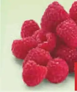Netto Marken-Discount Driscoll's Himbeeren Angebot