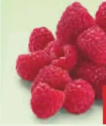 Netto Marken-Discount Driscoll's Himbeeren Angebot