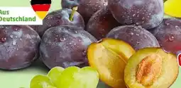 PENNY Marktliebe Zwetschgen Angebot