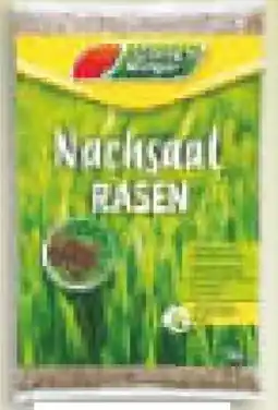 Netto Marken-Discount Garten Magie Nachsaat-Rasen Angebot