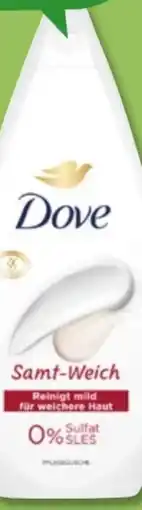 PENNY Dove Dusche Angebot