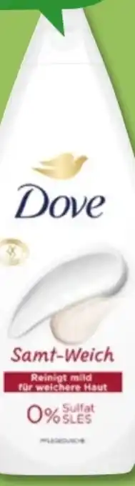 PENNY Dove Dusche Angebot