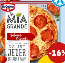 PENNY Dr. Oetker La Mia Grande Salame Piccante Angebot