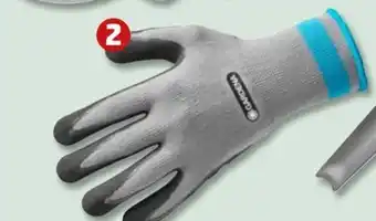 PENNY Gardena Pflanz- und Bodenhandschuhe Angebot
