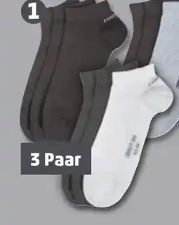 PENNY Cerruti Herren Sneakersocken 3 Paar Angebot