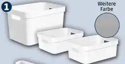 PENNY Curver Aufbewahrungskorb Angebot