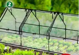 PENNY Florana Frühbeet Angebot