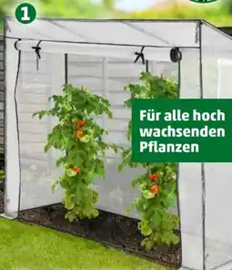 PENNY Florana Tomatengewächshaus Angebot