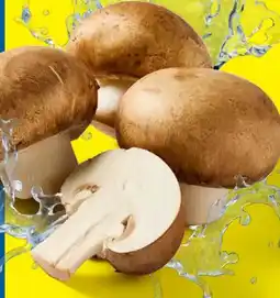 Lidl Braune Kulturchampignons Angebot