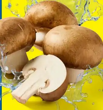 Lidl Braune Kulturchampignons Angebot