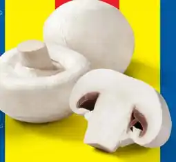 Lidl Kulturchampignons weiß Angebot
