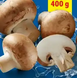 Lidl Braune Kulturchampignons Angebot