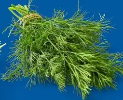 Lidl Dill Angebot