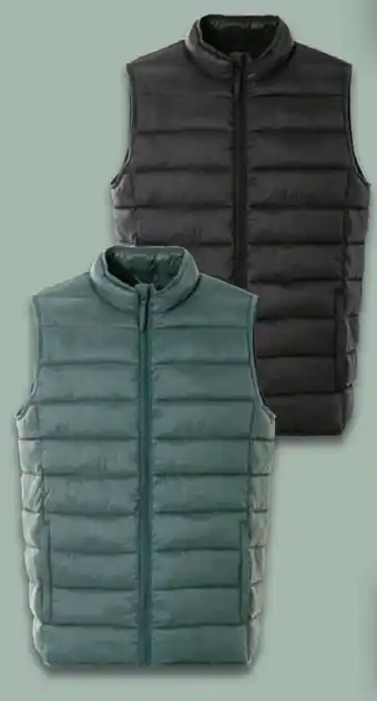 Lidl Livergy Herren Lightweight-Weste Angebot