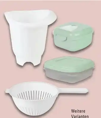 Lidl Livarno Home Haushaltshelfer Angebot