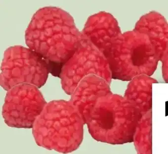 Edeka Xpress Himbeeren Angebot