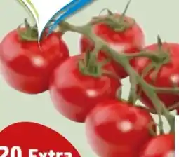 Edeka Xpress Mini-Rispentomaten Angebot