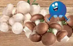 E-Center Champignons Angebot