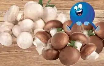 E-Center Champignons Angebot