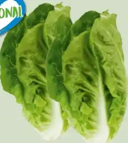 Edeka Xpress Mini-Romanasalat Angebot
